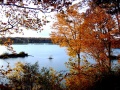 Lake in the Fall.jpg