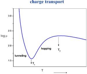 Chargetransport.png